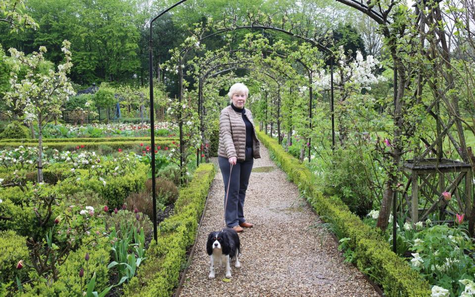 Marylyn Abbot at West Green House with her dog Sweet Pea  - TMG John Lawrence