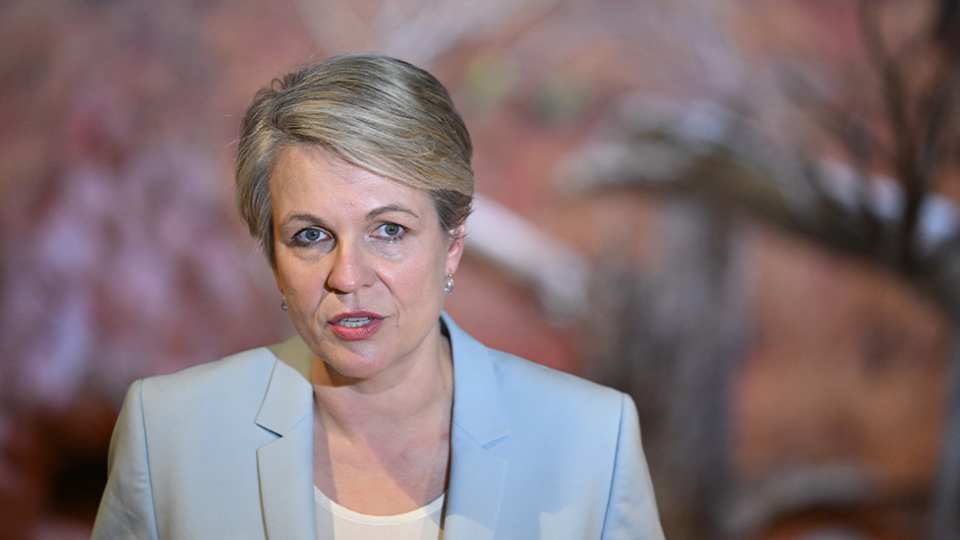 Tanya Plibersek in a pale blue suit in front of a natural background.