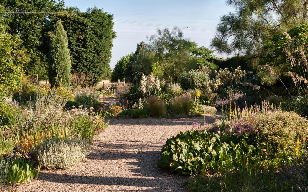 The Beth Chatto Gardens, a climate-resistant ‘dry’ garden in Essex