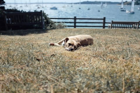 Bask in the sunshine at St Mawes this summer - Credit: GETTY