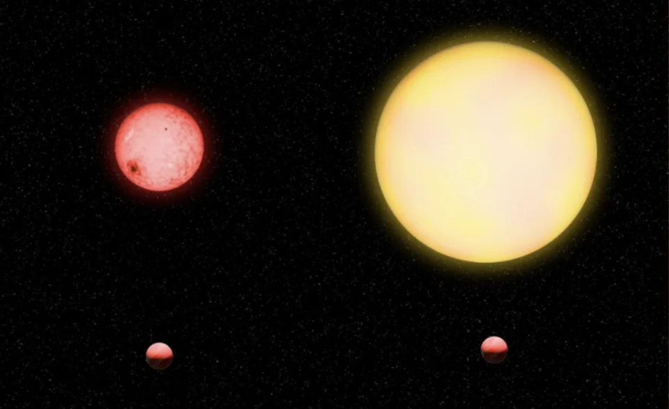與木星和太陽相比，畫家對圍繞 TOI-5205b 運行的木星大小的系外行星（左）的相對大小的想像。(Katherine Cain/Carnegie Institution for Science)