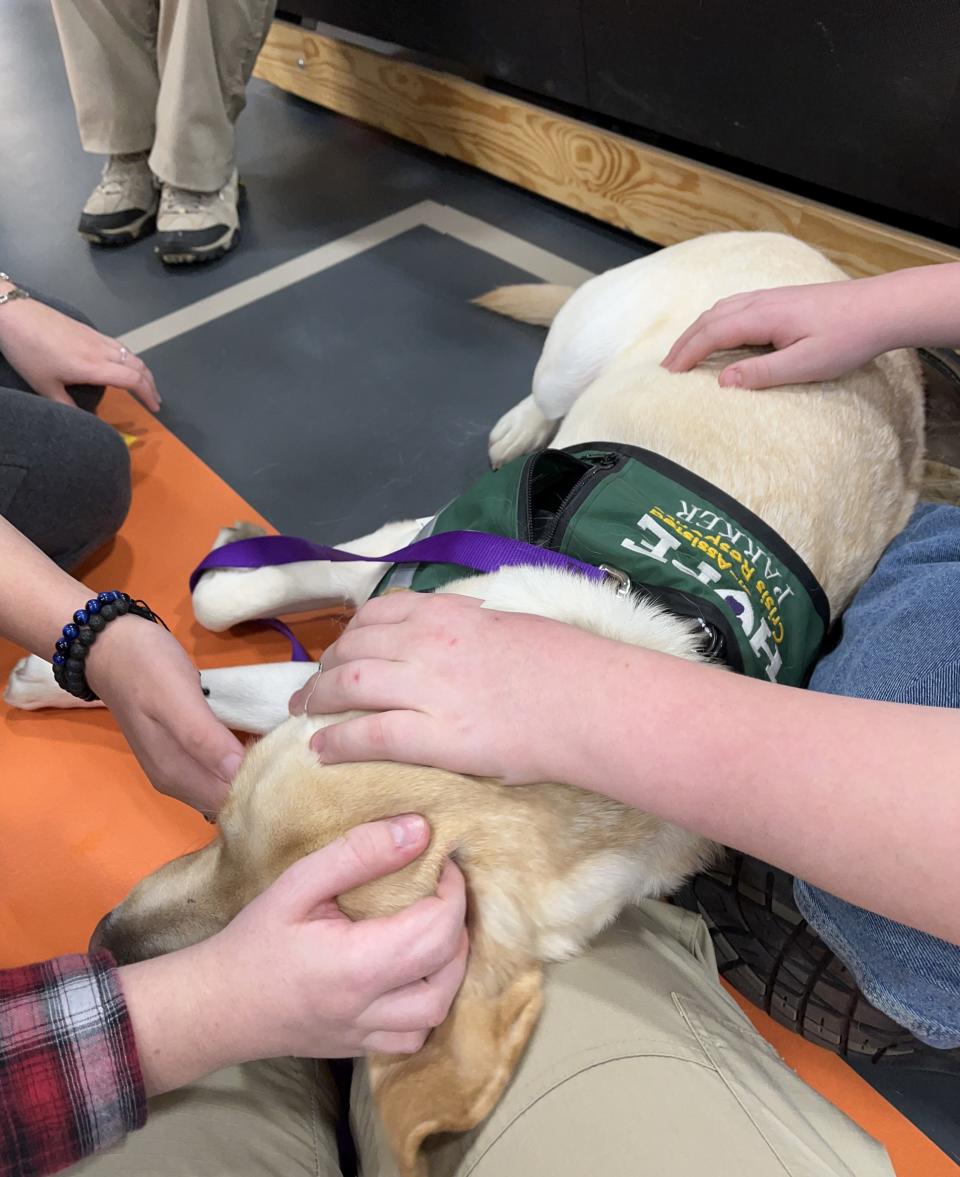 Therapy dogs Parker and Lootah, along with trainers Cathy and Cindy, will be at Tales and Tails storytime at the Cheboygan Library at 10:15 a.m. Tuesday, March 26, in the children’s room.