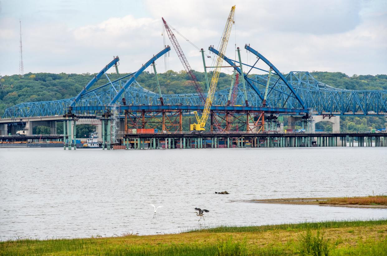 Herons forage in the shallow water at Spindler Marina in East Peoria as work continues on the arch for the new eastbound span of the McClugage Bridge on Thursday, Sept. 28, 2023 above the Illinois River.