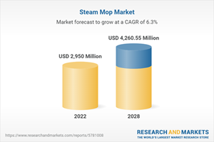 Steam Mop Market