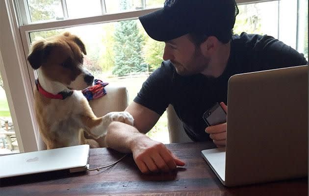 Chris and Dodger. Source: Twitter