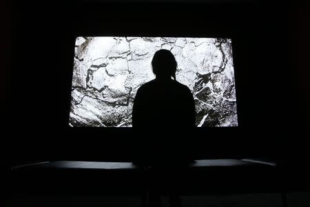 A woman watches 'It for Others', a video installation by Duncan Campbell, at Tate Britain in London September 29, 2014. REUTERS/Stefan Wermuth