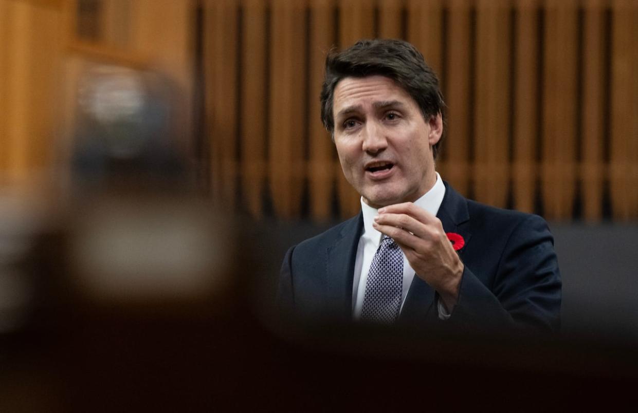 Prime Minister Justin Trudeau responds to a question from the opposition during Question Period in November. On Wednesday, Trudeau said in the House of Commons that his government is 'building projects like a new bridge over the Yukon River in Dawson City.' (Adrian Wyld/The Canadian Press - image credit)