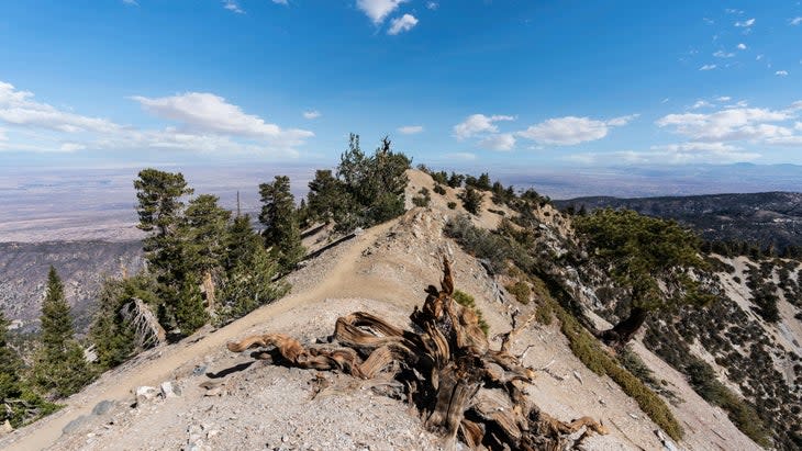 <span class="article__caption">Pacific Crest Trail near Mt Baden-Powell in the San Gabriel Mountains and Angeles National Forest area of Los Angeles County, California. The Mojave Desert is seen in the distance.</span> (Photo: trekandshoot)