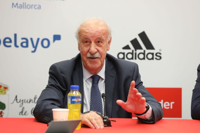 Vicente Del Bosque le dio a España el título del Mundial 2010, el único en su historia