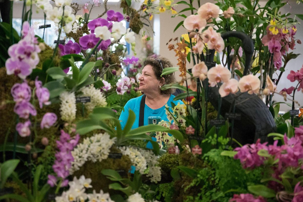 Jayne Kupperman of Boynton Beach is seen through an orchid arrangement by Homestead-based Soroa Orchids at the Boca Raton Orchid Society Show & Sale at the Safe Schools Institute in Boca Raton, Fla., on Saturday, February 10, 2018. "The colors are fabulous and brilliant," said Kupperman of the varieties of orchids on display. Dozens of vendors brought orchid displays and arrangements for hundreds of flower lovers to view and purchase.