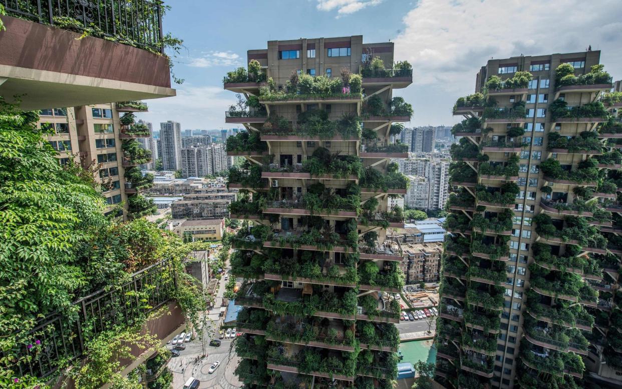 The plants appear to have taken over the buildings in Chengdu - STR/AFP