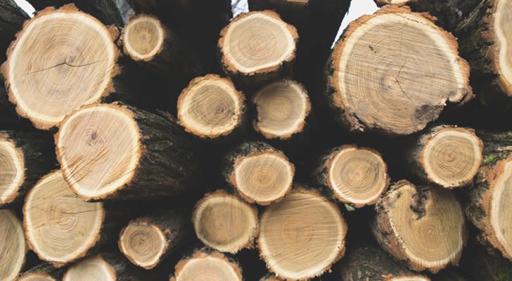 Weyerhaeuser Stock Takes a Dive on Q3 Earnings Miss