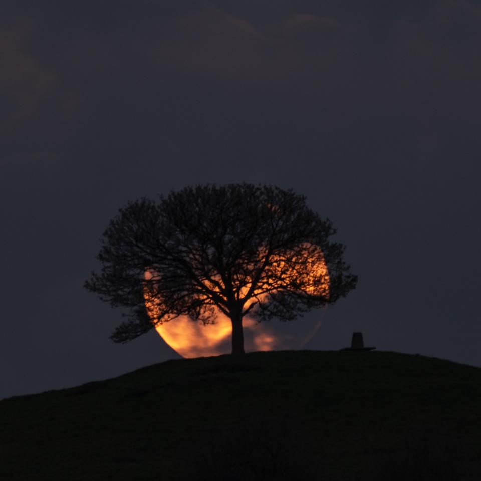 the full moon in the night sky