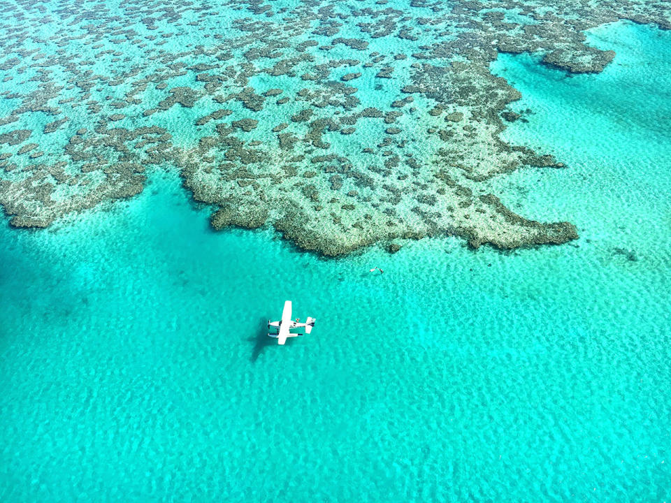 <h2>The Great Barrier Reef</h2> <p>In 2015, Australia's Great Barrier Reef just barely escaped being listed as an endangered World Heritage Site and in July 2016, it was <a rel="nofollow noopener" href="https://www.theguardian.com/environment/2016/jun/07/the-great-barrier-reef-a-catastrophe-laid-bare" target="_blank" data-ylk="slk:reported;elm:context_link;itc:0;sec:content-canvas" class="link ">reported</a> that 25% of the reef had been killed off by bleaching, a side effect of climate change. As reefs die, so do the ecosystems they support, which include the humans they both feed and protect (from waves). Some scientists think it's too late to save the reef, but for now there are still hundreds of miles of healthy reef to visit—when doing so, we suggest you inquire about local coral cleanup programs. For more information on the dire situation currently faced by the world's reefs, check out the Netflix documentary <em>Chasing Coral </em><a rel="nofollow noopener" href="https://www.netflix.com/title/80168188" target="_blank" data-ylk="slk:here;elm:context_link;itc:0;sec:content-canvas" class="link ">here</a>.</p>