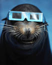 A sea lion wears a solar viewer during an annular solar eclipse at an aquarium in Tokyo, in this picture by Yomiuri Shimbun May 21, 2012. The sun and moon aligned over the Earth in a rare astronomical event on Monday - an annular eclipse that dimmed the skies over parts of Asia and North America, briefly turning the sun into a blazing ring of fire. Mandatory Credit REUTERS/Yomiuri Shimbun