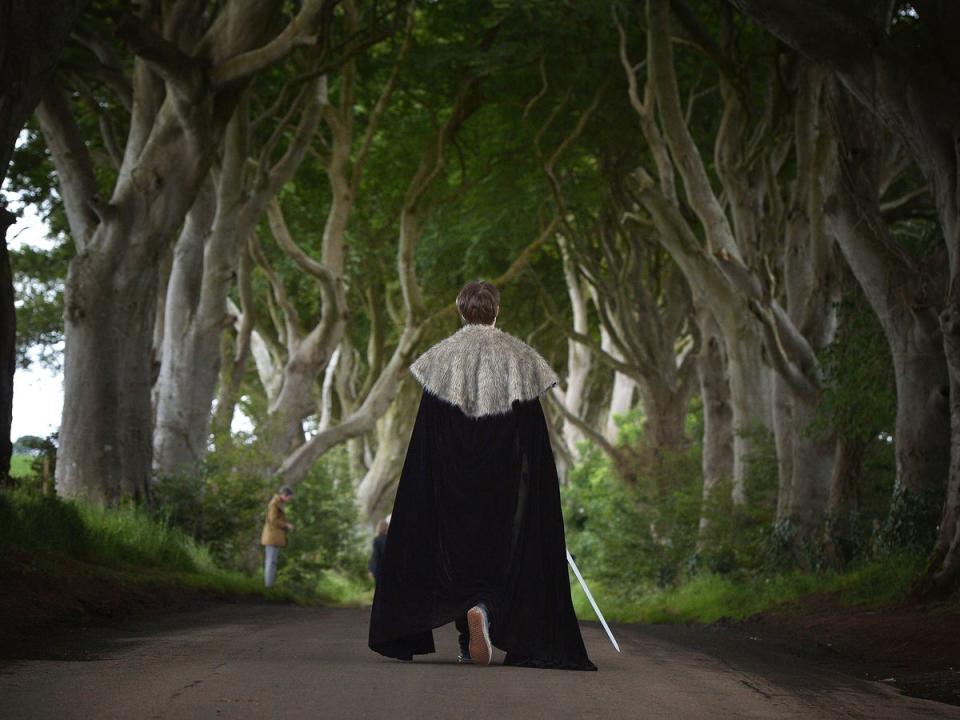A tourist walks along The Dark Hedges (Getty Images)