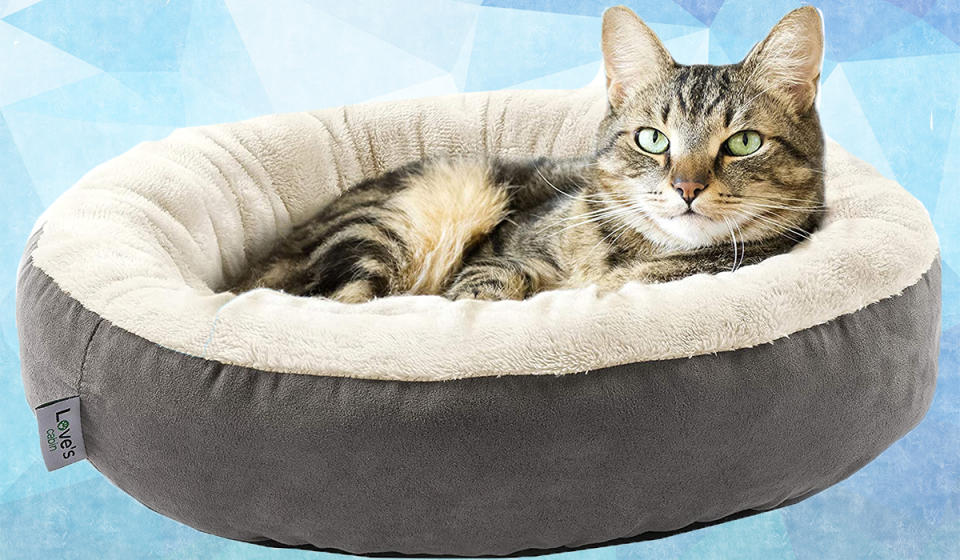 Save 33 percent on this ultra-cozy cat bed. (Photo: Amazon)