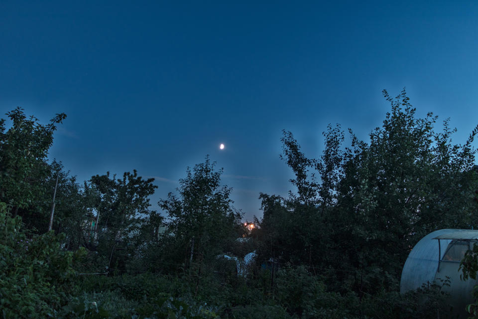 Night scene with a bright moon in a clear sky. The landscape includes trees and shrubs, with a structure visible on the right side. No people are present