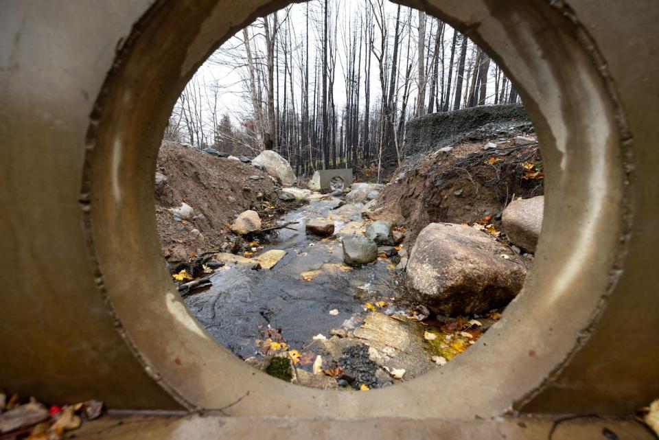 The view of flooding damage on Peter Dominey's driveway on Yankeetown Road as seen through a concrete headwall that used to be part of a culvert. The culvert, rocks and earth were washed away in the July flooding.