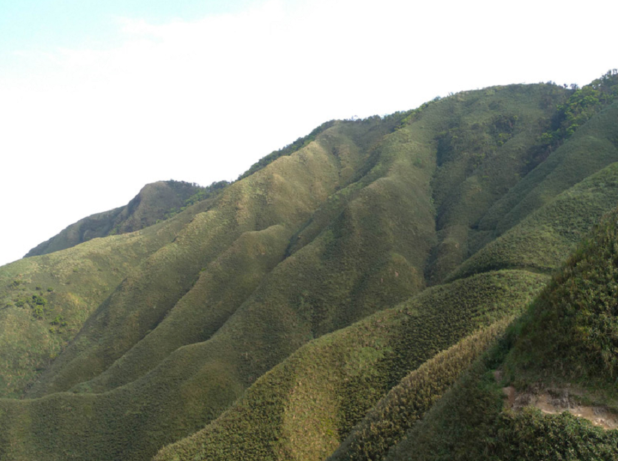 ▲交通部在今（3）天清晨，將宜蘭抹茶山，以及武嶺、虎山巖等熱門景點，納入1968熱點範圍內。（圖／NOWnews資料畫面）