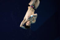 Wang Zongyuan of China competes during the men's 3m springboard diving final at the World Aquatics Championships in Doha, Qatar, Wednesday, Feb. 7, 2024. (AP Photo/Hassan Ammar)