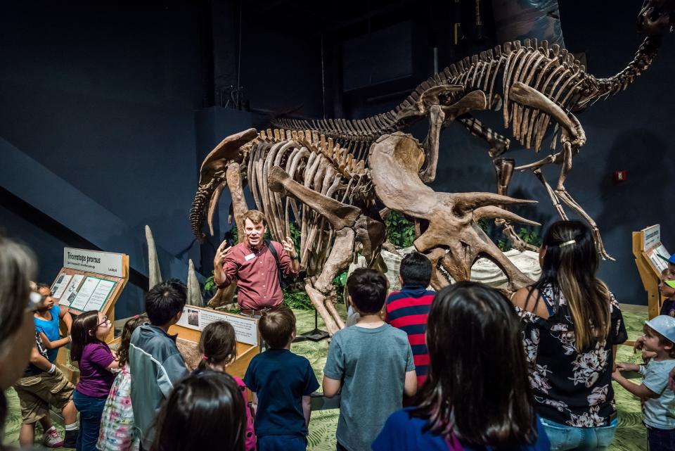 For one day only, guests can learn new things for half the price at the Orlando Science Center.