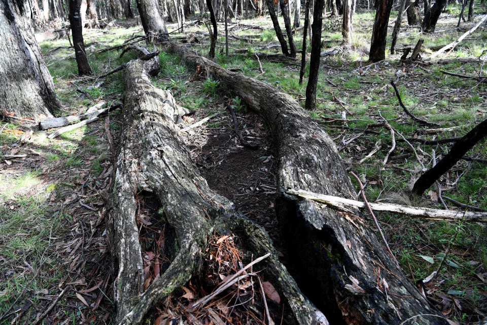 Karen’s body was found in Macedon Regional Park. Source: AAP