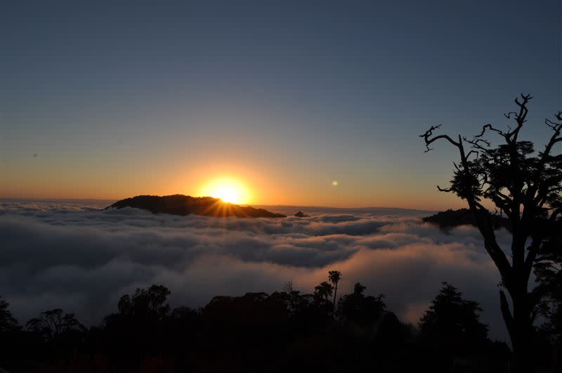 大雪山國家森林遊樂區－夕陽。（圖／林業保育署提供）