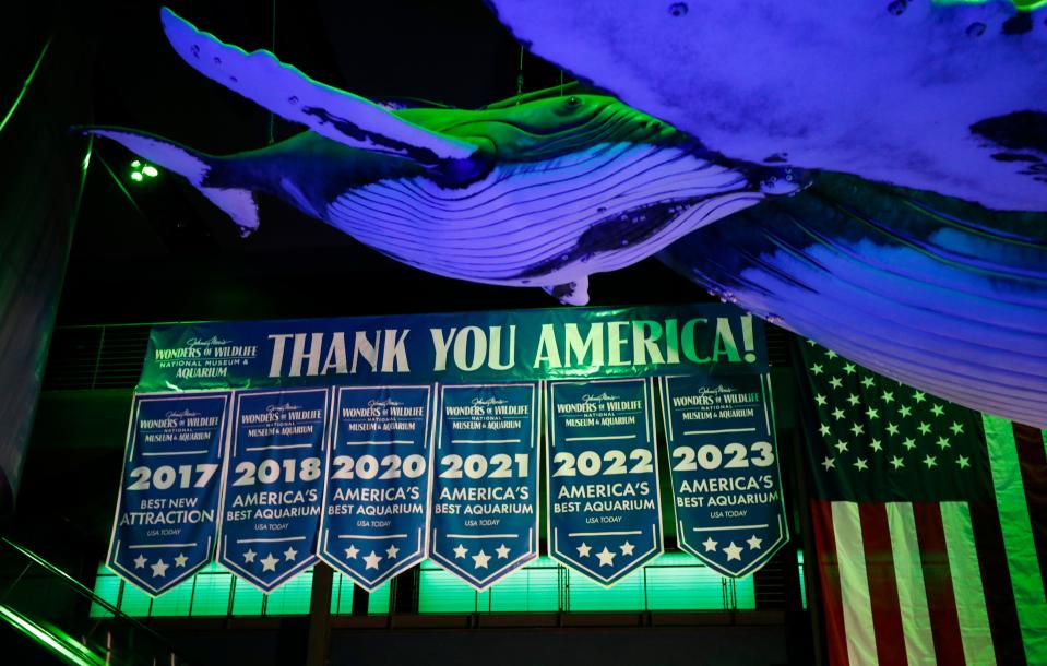 Wonders of Wildlife was honored for the 6th time by USA Today readers as "America's best aquarium" on Friday, March 17, 2023. 