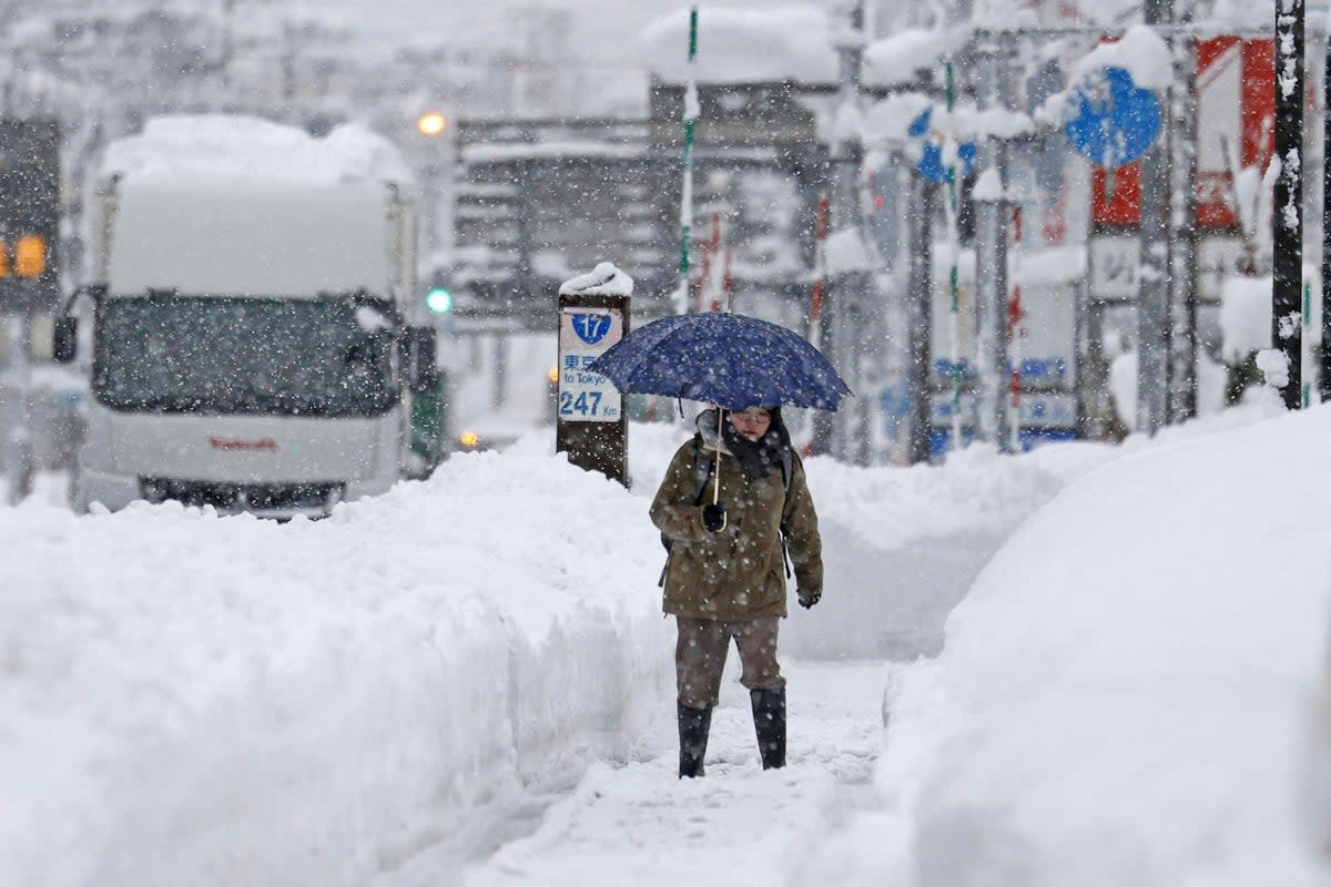 JAPÓN-NEVADAS (AP)