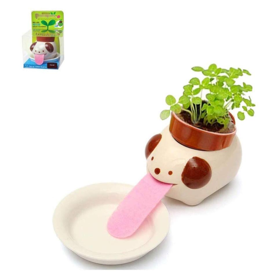 These <a href="https://amzn.to/2E5Vg6s" target="_blank" rel="noopener noreferrer">self-watering planters</a>&nbsp;are cute as can be, and will be perfect for even the tiniest of apartments and windowsills.