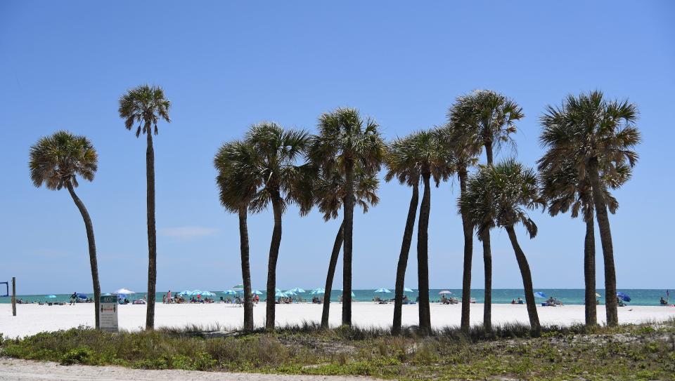 No-swim advisories were issued Friday for four Manatee County beaches. Other county beaches are not affected. The four beaches are Bayfront Park North, Manatee Public Beach North, and Coquina Beach North. An advisory for Palma Sola South remains in place as well.