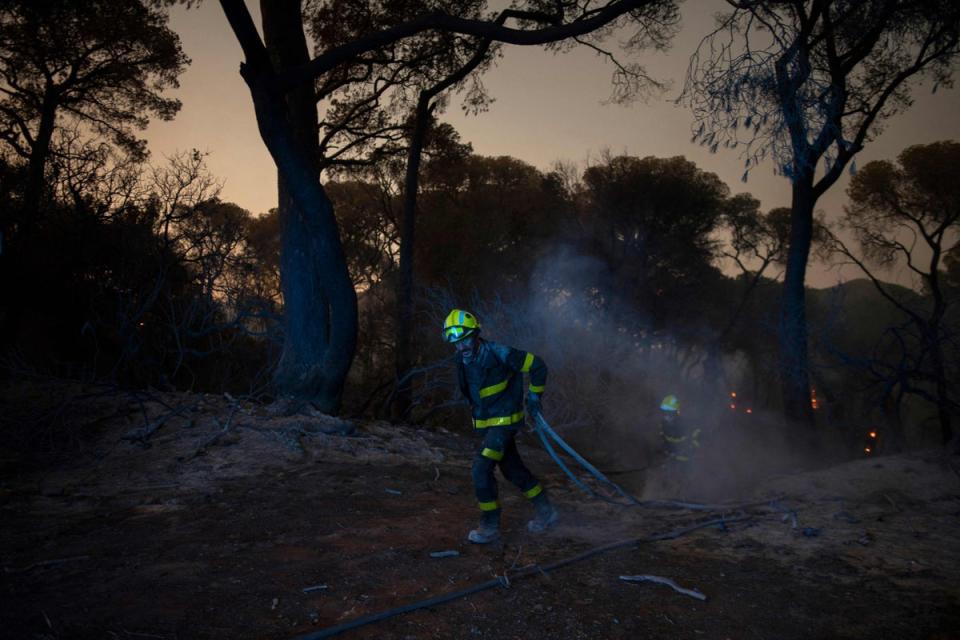 Firefighters try to extinguish a wildfire in a forest area in Puerto Real, near Cadiz (AFP via Getty Images)