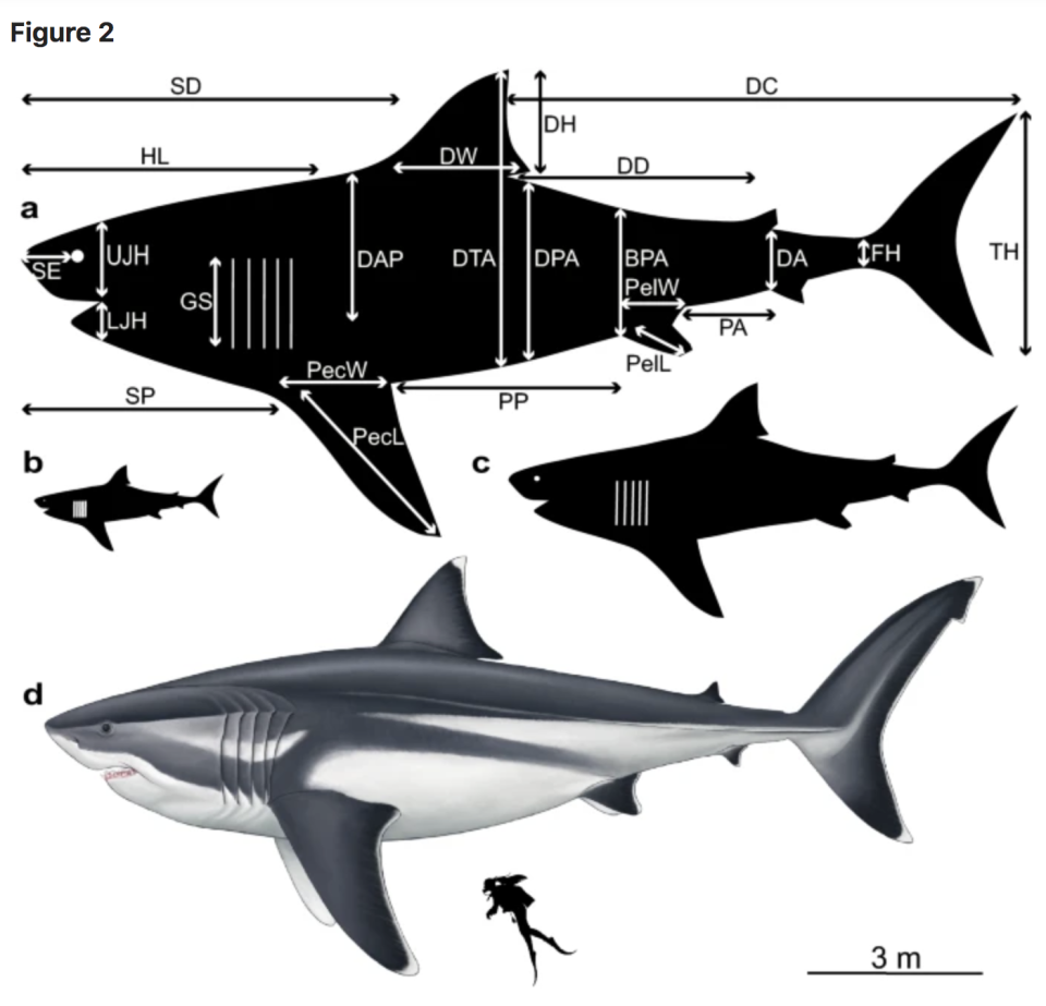 Photo credit: Cooper et al.