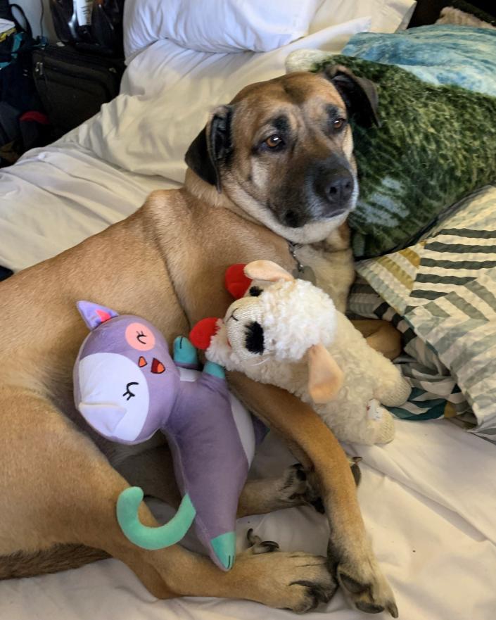 Surfer Baby with some stuffed animals people donated