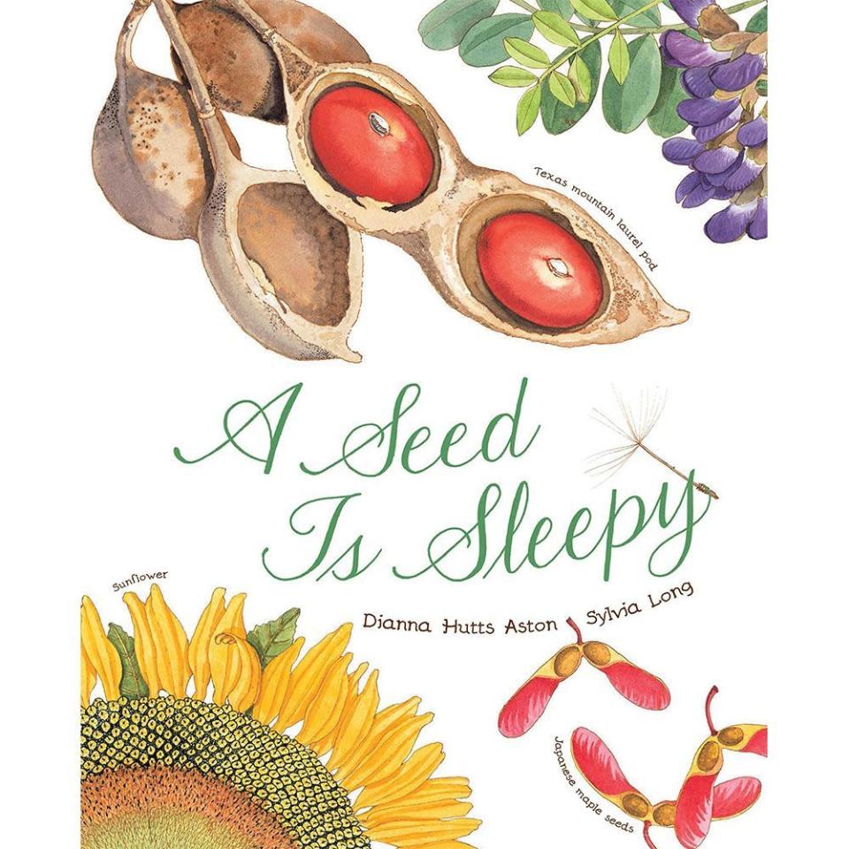 1) ‘A Seed Is Sleepy’ by Dianna Hutts Aston, illustrated by Sylvia Long