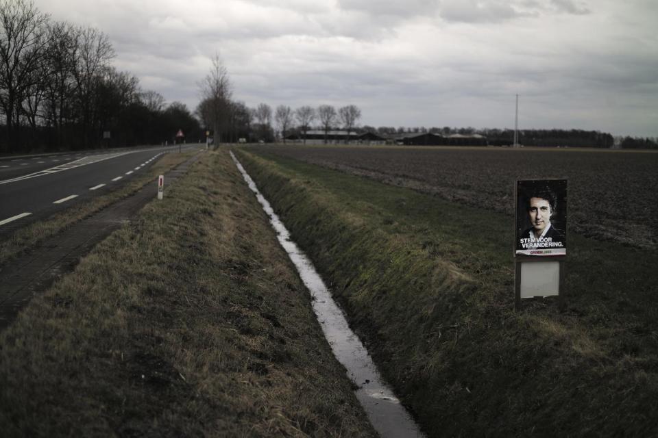 In this Saturday, March 4, 2017 photo, an election poster showing Jesse Klaver, from the GroenLinks party, is displayed in a field in Nagele, Netherlands. March 15 marks the general election in the Netherlands. (AP Photo/Muhammed Muheisen)