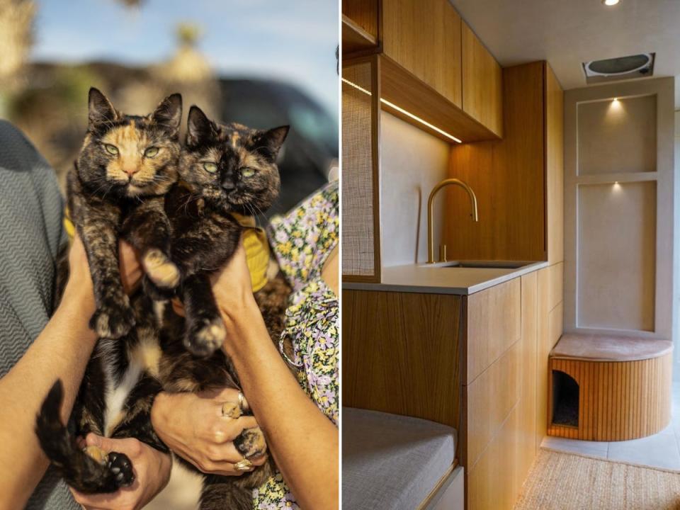 Side-by-side images of the couple's two cats and the hidden litter box.
