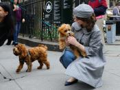 <p>No, really, the actress loves to stop and pet dogs. Come on! Can we blame her?! We'd have to do the same. </p>