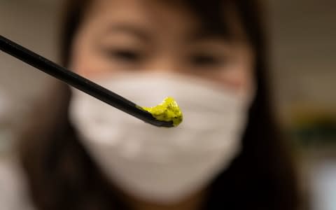 A spatula of substances taken from seawater near the Fukushima No. 2 Nuclear Power Plant is readied for analysis - Credit: Simon Townsley