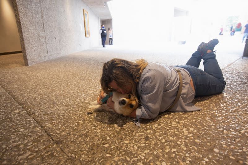 La exposición "Arte y Perros" en el Museo de Arte Contemporáneo Rufino Tamayo, en Ciudad de México