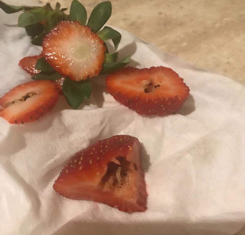 Maggot inside strawberry. 