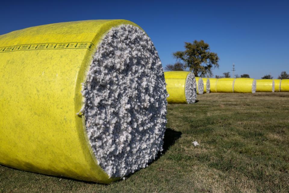 Harvested cotton is seen at George Mahalitc’s Issaquena-South Washington Gin Inc. in Glen Allan, Miss., on Nov. 1, 2023.