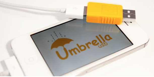 Umbrella USB security device