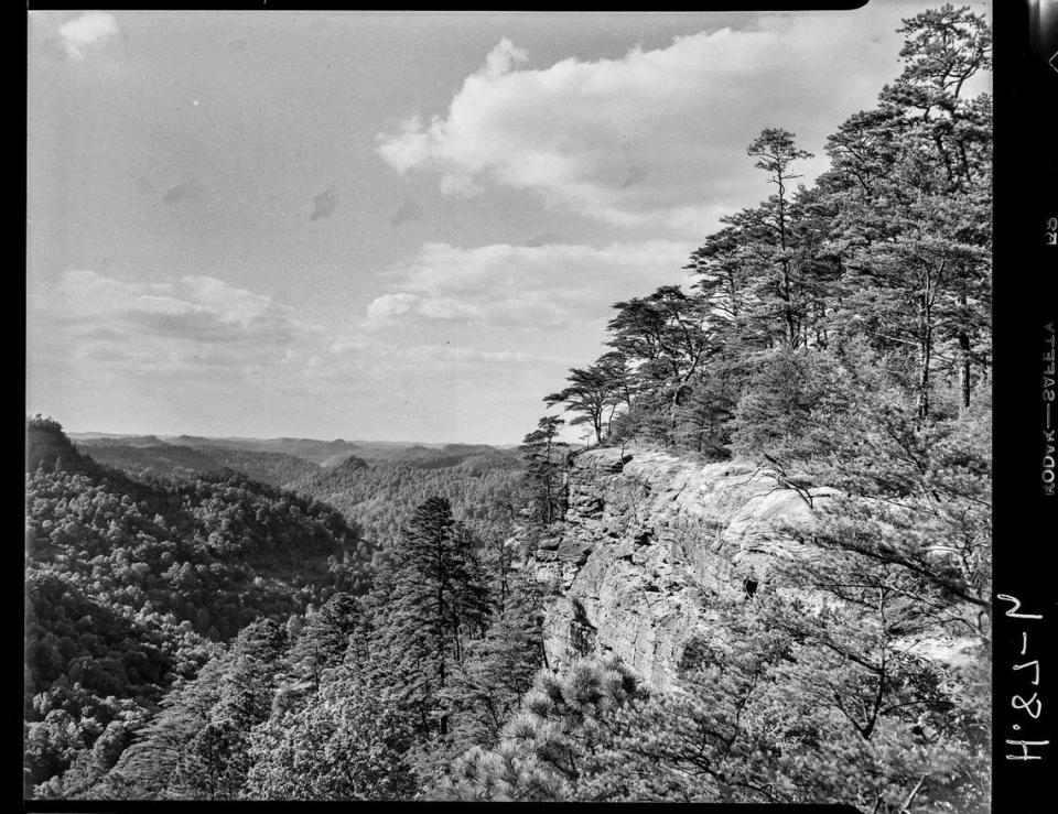 This photo of cliffs and mountains in Natural Bridge State Park was published in 1953.