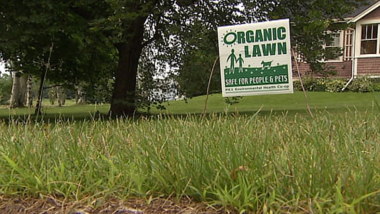 Exemptions in Charlottetown's pesticide bylaw could be exterminated