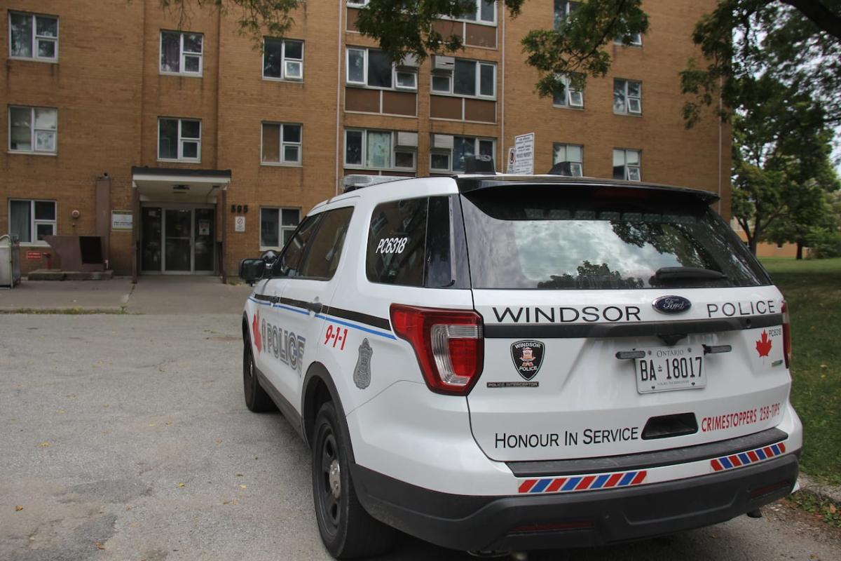 Glengarry apartments a top location for violent crime, WPS say, officers now stationed in building