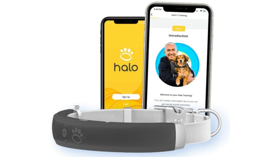 This GPS collar helps you create a virtual fence for your dog, and notifies you if your furry friend has breached it (and helps you locate your pet, too).