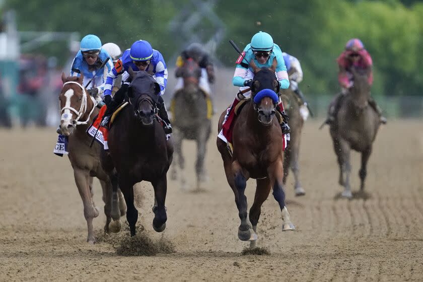 National Treasure, with jockey John Velazquez, front right, edges out Blazing Sevens.