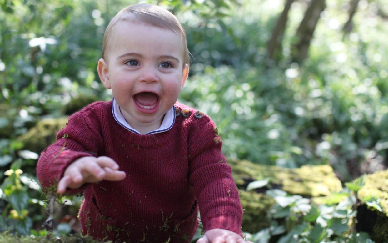 Prince Louis photographed ahead of his first birthday in Norfolk - PA